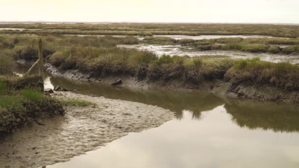 4K泥泞的河床在低潮中 有一些水流下河流流入大海 Vouga河河口的Ria Aveiro — 图库视频影像