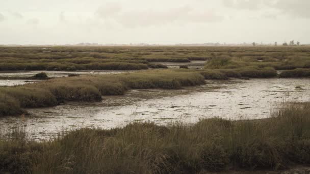 Muddy River Bed Low Tide Some Water Flowing River Ocean — Stock Video