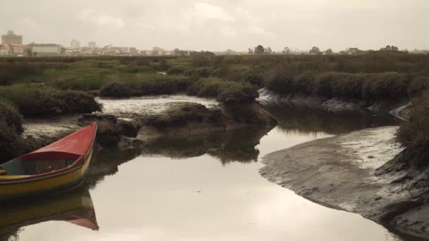 Vecchia Barca Pesca Legno Strangolato Sulle Rive Fangose Fiume Bassa — Video Stock