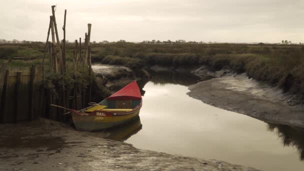 Παλιά Βάρκα Αλιείας Ξύλου Αποξενώθηκε Στις Λασπωμένες Όχθες Ενός Ποταμού — Αρχείο Βίντεο