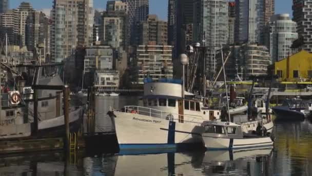 Medium Wide Pan Fishing Boat Docked Fisherman Wharf Docked Vessels — Stock Video