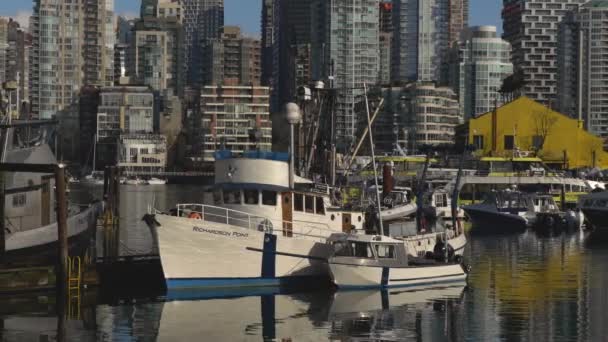 Panning Rakt Över Fisherman Wharf Med Fiskebåtar Dockade Framför Havet — Stockvideo