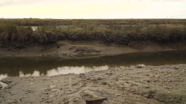 Lecho Río Fangoso Una Marea Baja Con Poco Agua Que — Vídeo de stock