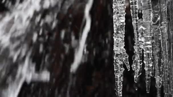 Water Kletst Een Waterval Met Zwarte Rotsen Terwijl Sneeuwvlokken Naar — Stockvideo