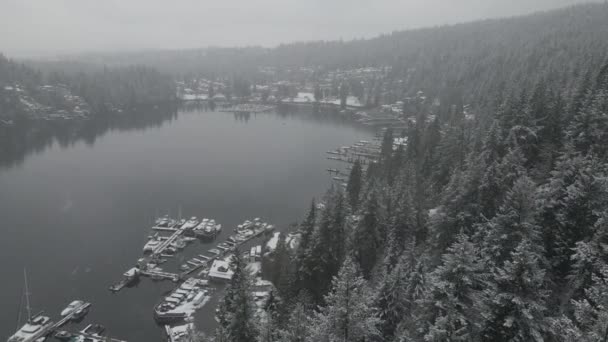 Vit Snö Faller Ner Över Gröna Tallar Och Marina Med — Stockvideo