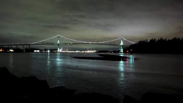 Silhouetten Von Kleinen Enten Die Der Strömung Der Einmündung Treiben — Stockvideo