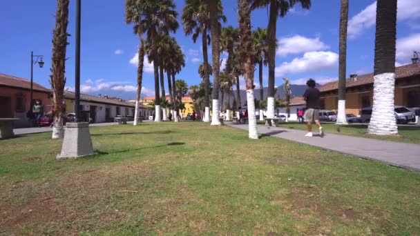 Taman Amerika Latin Antigua Guatemala — Stok Video