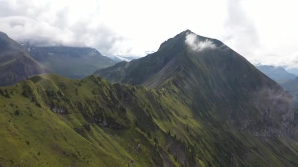 在瑞士对Morgenberghorn缓慢而温和的无人机射击 山坡上绿草的美丽而繁茂的风景 夏日阳光明媚 云层稀疏 宁静的风景 — 图库视频影像