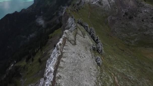 空中撮影前方に飛んで 劇的な 雪の木々の急な斜面に緑のフィールドで山の尾根をカバーに沿って傾斜 美しいスイスのアルプスの晴れた夏の日 — ストック動画