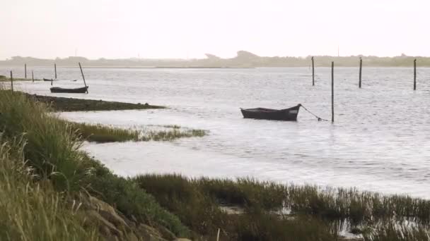 Silhuetter Två Träbåtar Förtöjda Ria Aveiro Gamla Båtar Som Rör — Stockvideo