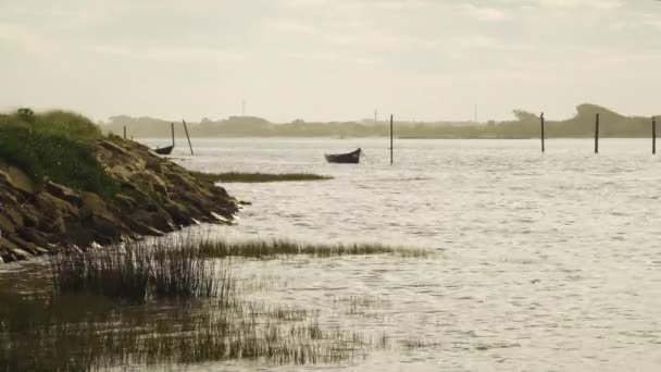 Silhouettes Two Boats Anchored Middle Ria Aveiro Estuary River Vouga — Stock Video