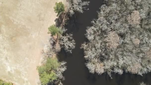 Una Toma Aérea Arriba Hacia Abajo Las Sinuosas Vías Agua — Vídeo de stock