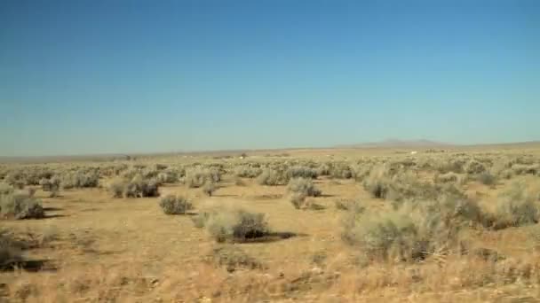 Guidare Attraverso Deserto Passando Piante Del Deserto Con Case Una — Video Stock