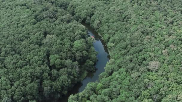 Vista Aérea Pequeno Barco Viajando Rio Apertado Cercado Por Floresta — Vídeo de Stock