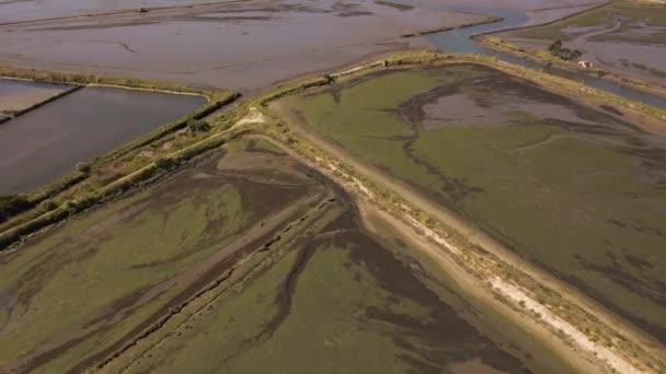 Vista Aérea Algunas Lagunas Artificiales Ría Aveiro Con Dron Avanzando — Vídeos de Stock