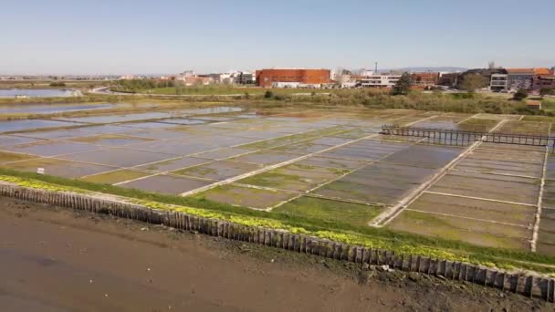 Antenn Utsikt Över Salta Gårdar Aveiro Med Stadens Landskap Bakgrunden — Stockvideo