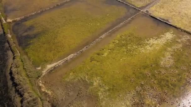 Vista Aérea Una Sección Una Granja Sal Aveiro Con Dron — Vídeos de Stock