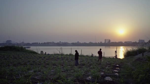 Familie Waterplanten Bij Zonsondergang Voor Mekong — Stockvideo
