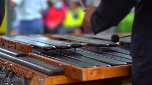 Aus Nächster Nähe Marimba Spielen Gautemalsche Marimba — Stockvideo