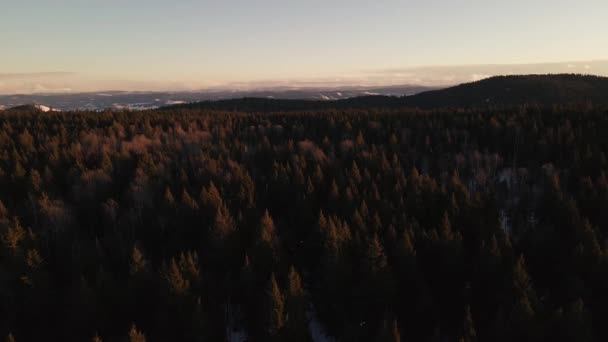 Пролетая Над Заснеженным Ландшафтом Британской Колумбии Канада — стоковое видео