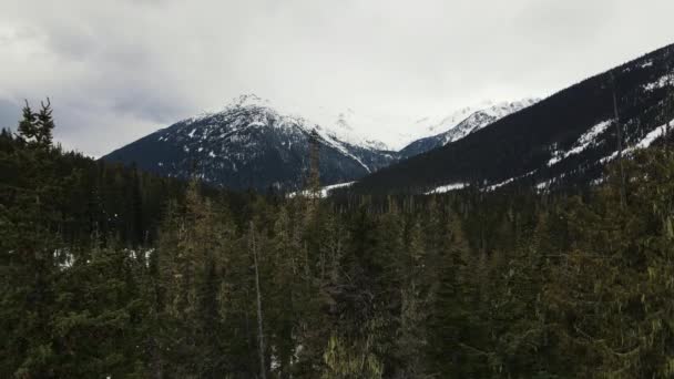 Vuelo Lento Sobre Bosque Cerca Del Lago Duffey Columbia Británica — Vídeos de Stock