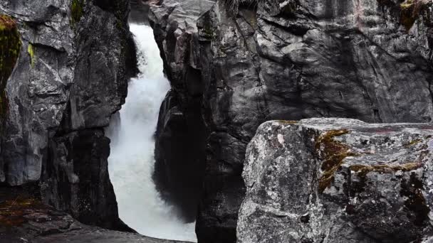 British Columbia Kanada Daki Nairn Şelalesinin Yavaş Çekim Görüntüsü — Stok video