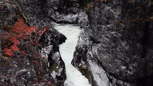 Wodospad Nairn Kolumbii Brytyjskiej Kanada — Wideo stockowe
