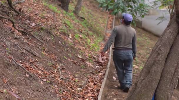 Latin Man Cleaning Garden Hispanic Gardener — Stock Video