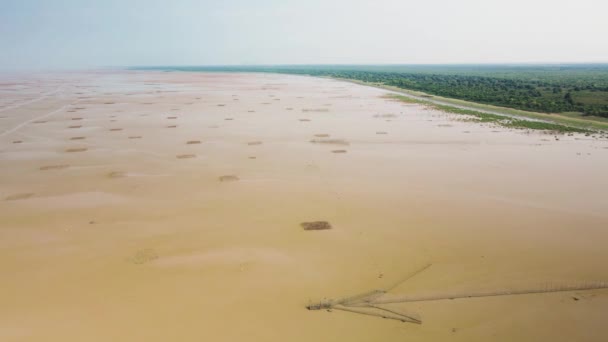 Drone Fly View Tonle Sap Shore Line Arrow Headed Fish — Stock Video