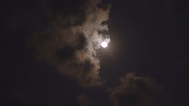 Wolken Über Dem Vollmond Wolken Bewegen Sich Schnell — Stockvideo