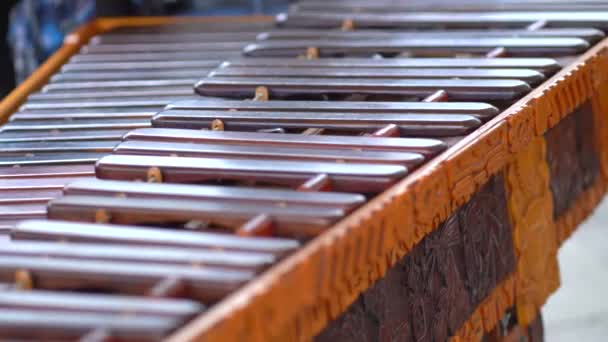 Marimba Mittelamerika Guatemaltekische Marimba — Stockvideo