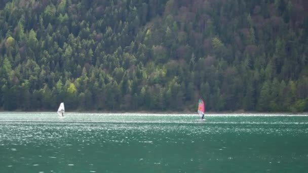Віндсерфінг Озері Ахензеє Горах Водні Види Спорту Австрійських Альпах — стокове відео