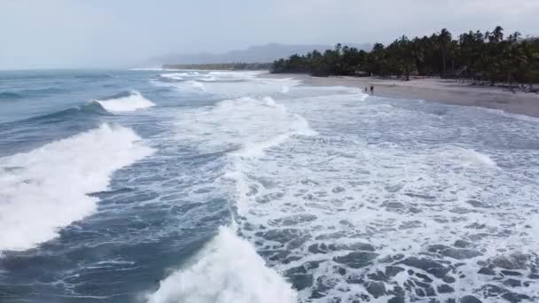 Επισκέπτες Στην Κολομβιανή Παραλία Ζούγκλα Της Καραϊβικής Απολαμβάνουν Ατελείωτες Λευκά — Αρχείο Βίντεο
