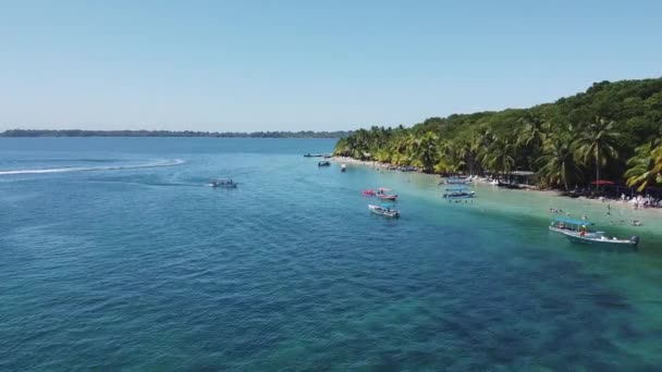 遅い空中アプローチ牧歌的なヒトデのビーチ カリブ海パナマ — ストック動画