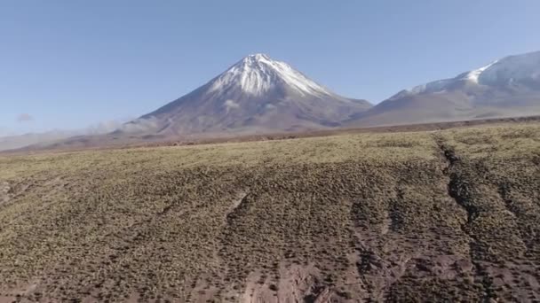 Basso Deserto Arbusti Prosperano Bassa Aerea Verso Vulcano Licancabur — Video Stock