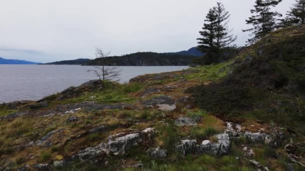 Drone Skott Längs Solskenskusten British Columbia — Stockvideo