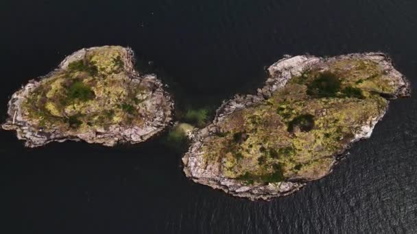 Vista Ángulo Alto Isla Hodgson Columbia Británica — Vídeo de stock