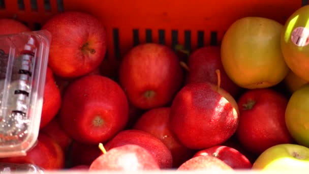市場で果物とプラスチックボックス 通りの販売で果物と箱 リンゴ入りの箱 バナナ入りの箱 — ストック動画