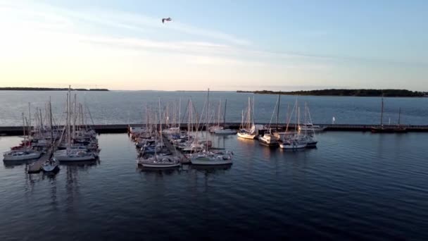 Veleiros Vista Superior Marina Ancorado Cais Durante Pôr Sol — Vídeo de Stock