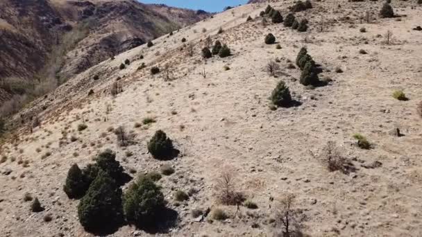 Belle Drone Shot Été Collines Dans Désert Nevada Pan — Video