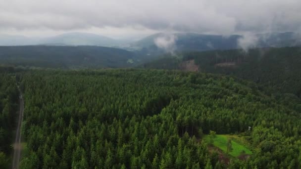 Luchtdrone View Vlucht Dennenbos Duitsland Drone Schot Vliegen Boomtoppen Natuur — Stockvideo