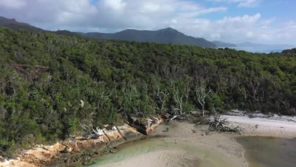 Zbor Aerian Scăzut Deasupra Dealului Împădurit Până Bărcile Tropicale Verzi — Videoclip de stoc