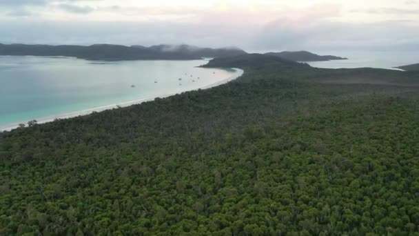 Whitsunday Islands National Park Sobrevuela Densa Selva Insular — Vídeos de Stock