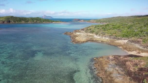 Aviação Pacífico Sobre Lagoa Coral Verde Vívida Rasa Qld Austrália — Vídeo de Stock