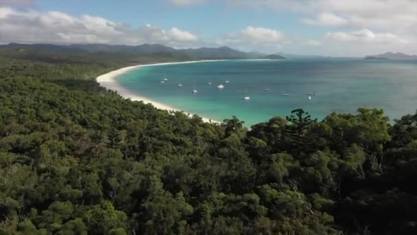 Fly Dense Subtropical Forest Pristine Sandy Beach Boats — Stock Video