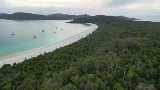 Robusto Bosque Espeso Selva Abuts Idílica Playa Arena Con Veleros — Vídeo de stock