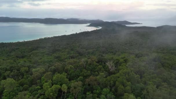 Bosque Profundo Verde Selva Aérea Hacia Amplia Playa Con Veleros — Vídeos de Stock