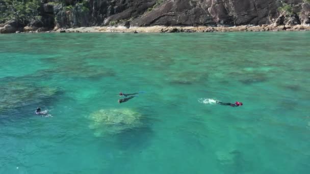Luftaufnahme Von Schnorchlern Die Flache Korallenriffe Küstennähe Genießen — Stockvideo