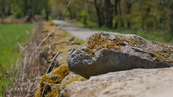 Großer Weißer Stein Auf Steinmauer Inmitten Der Natur Grüne Felder — Stockvideo