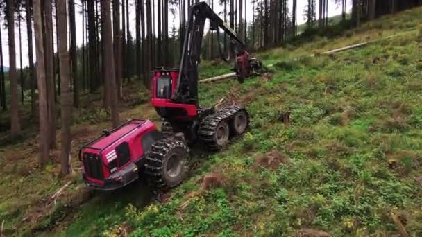 Récolteuse Grumes Forestières Coupe Bois Travail Bois Coupé Par Industrie — Video